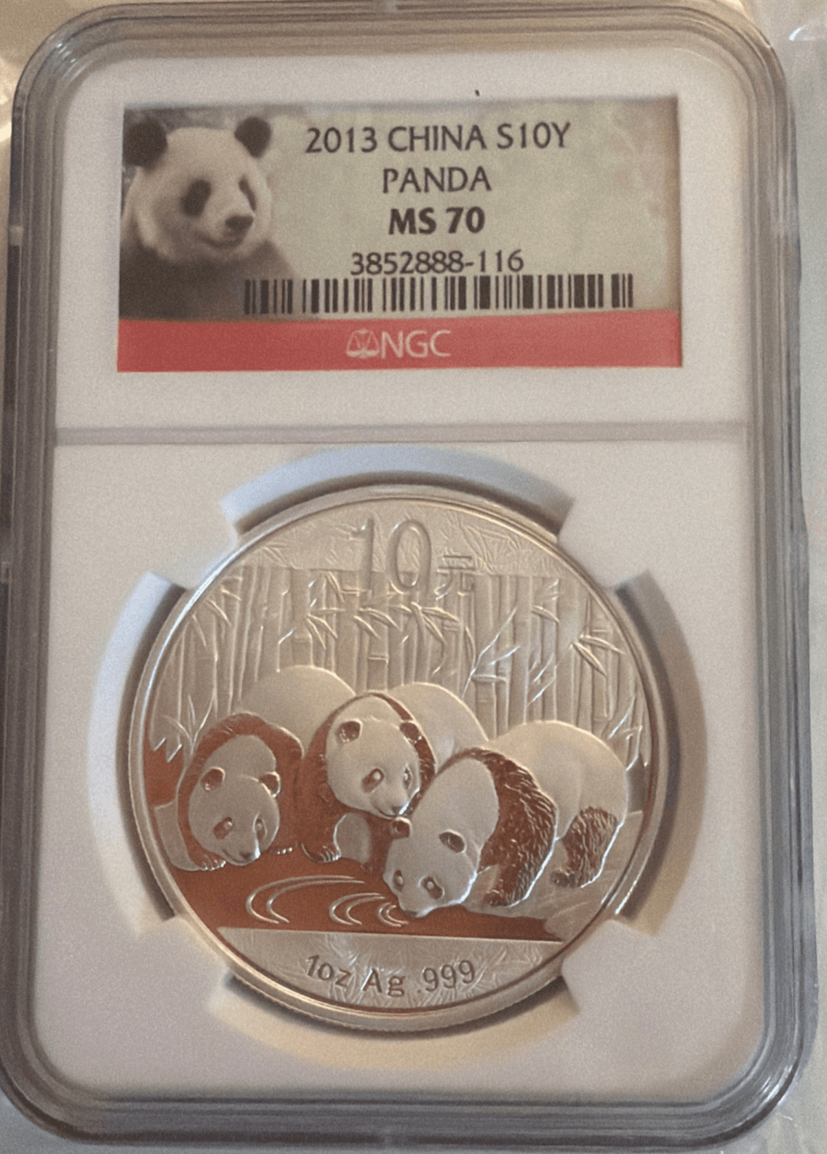 China Silver Panda