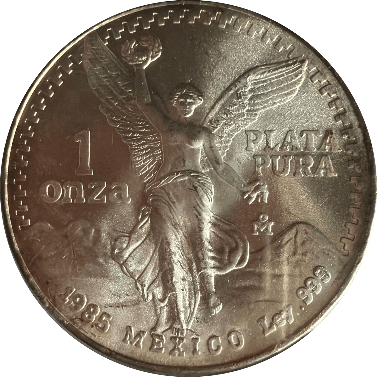 Mexican Libertad Silver Onza