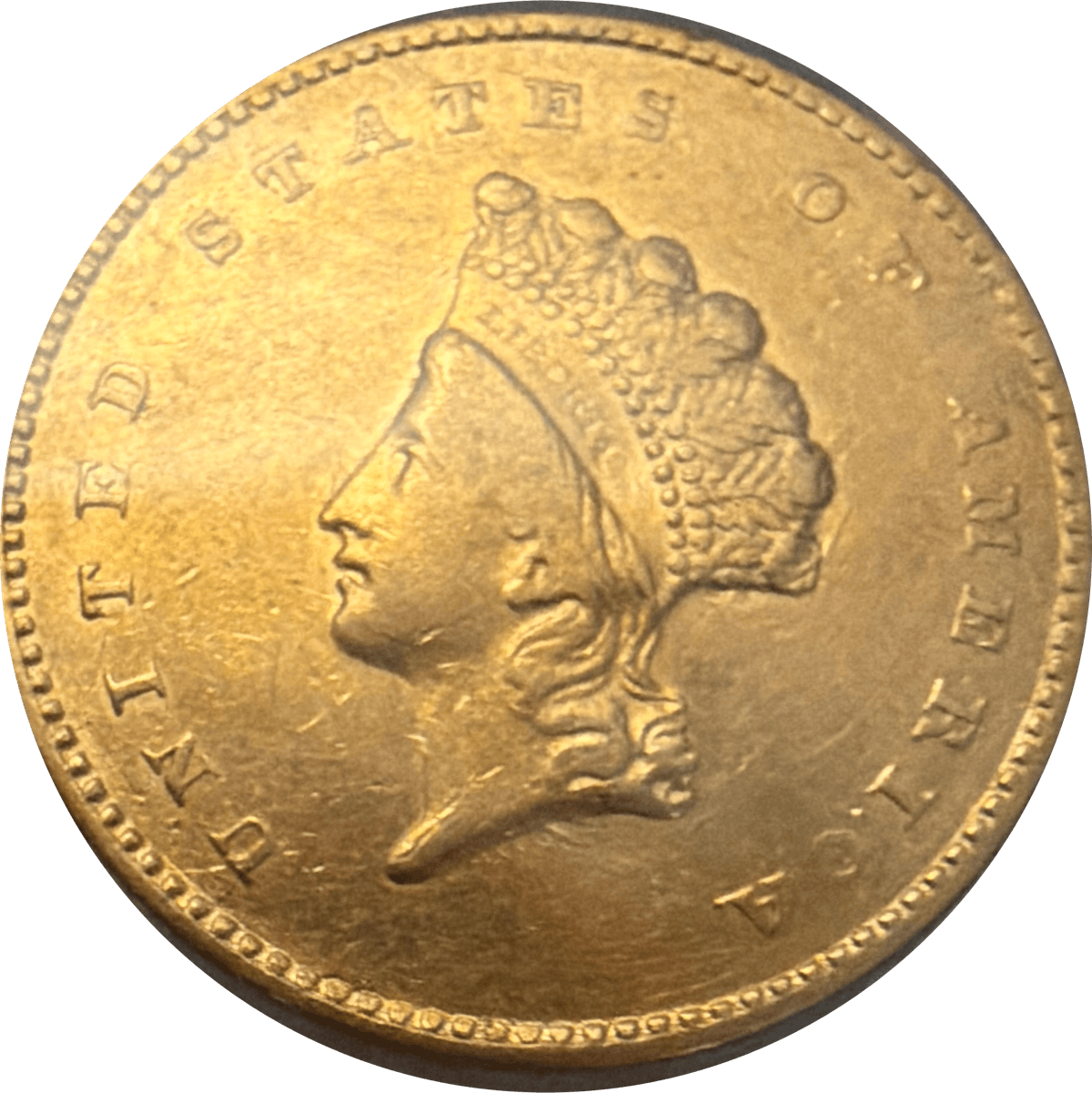 Indian Head Gold Dollar